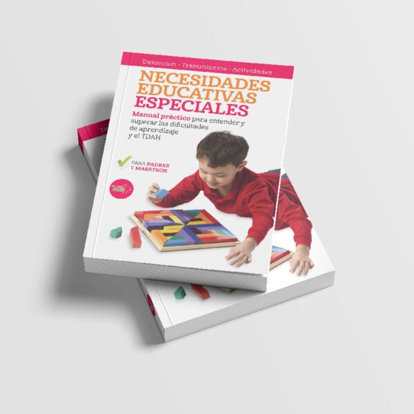 Necesidades Educativas Especiales: Manual Práctico